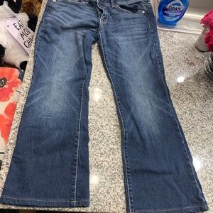 2010 Era American Eagle Original Boot Cut Jeans, Low Rise, Size 14 Short